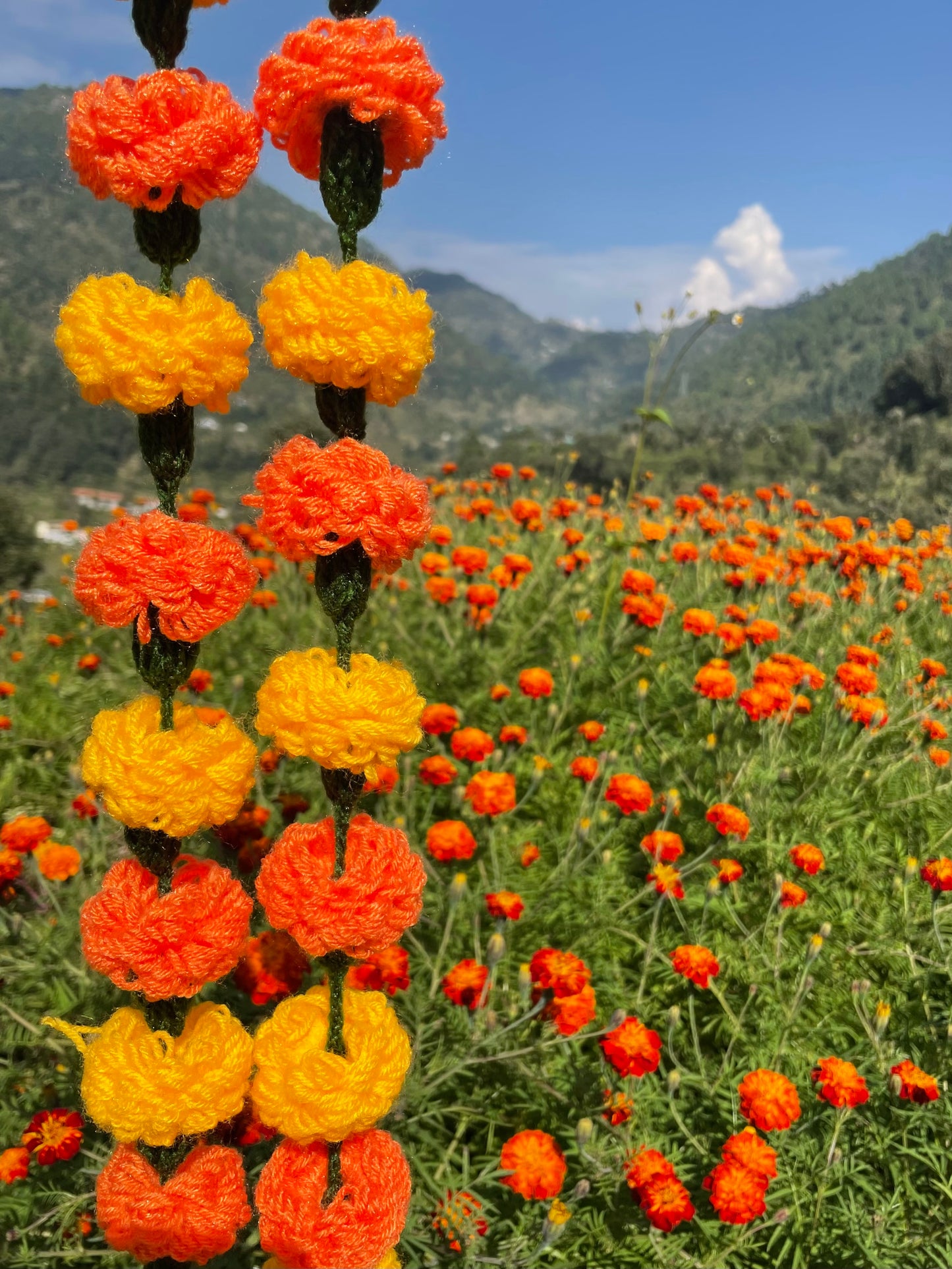 Marigold Buntings